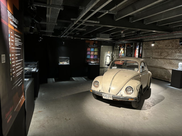 Serial Killer-The World Exhibition Tour